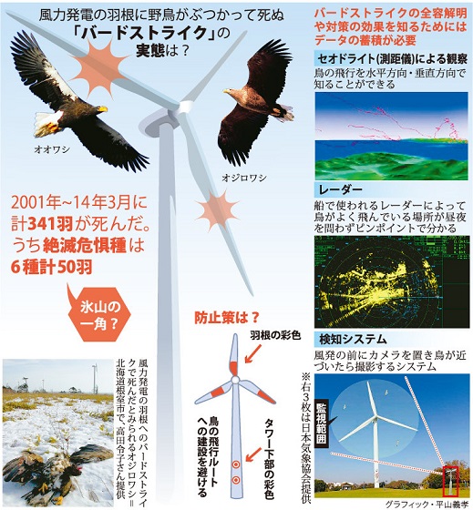 シリーズ日本の鳥を見てみませんか ニホンイヌワシ 森林の国に生きる [DVD] Amazon.co.jp: シリーズ日本の鳥を見てみませんか ニホン