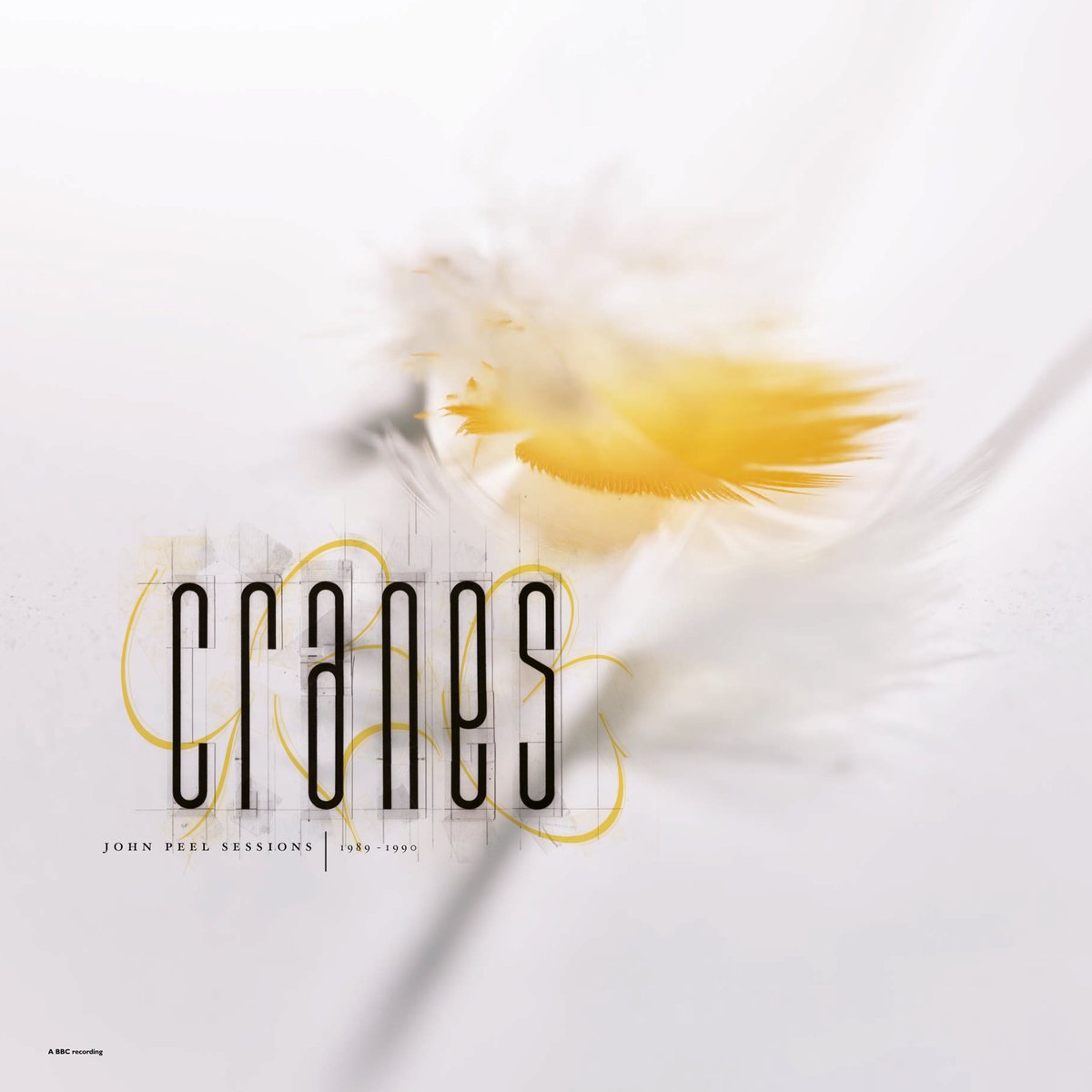 LogoFiasco's tweet photo. Cranes - Peel Sessions 1989-1990 - on vinyl for the first time and available from all good record stores, including ours 🙂

£18 a copy - https://t.co/vMYwBGxYBr 🦉🎶👁️

#vinyl #vinylcollection #vinylcommunity #vinylbargains #indie #alternative #dreampop
#shoegaze #vinylvibes https://t.co/JqlCQRLFyJ