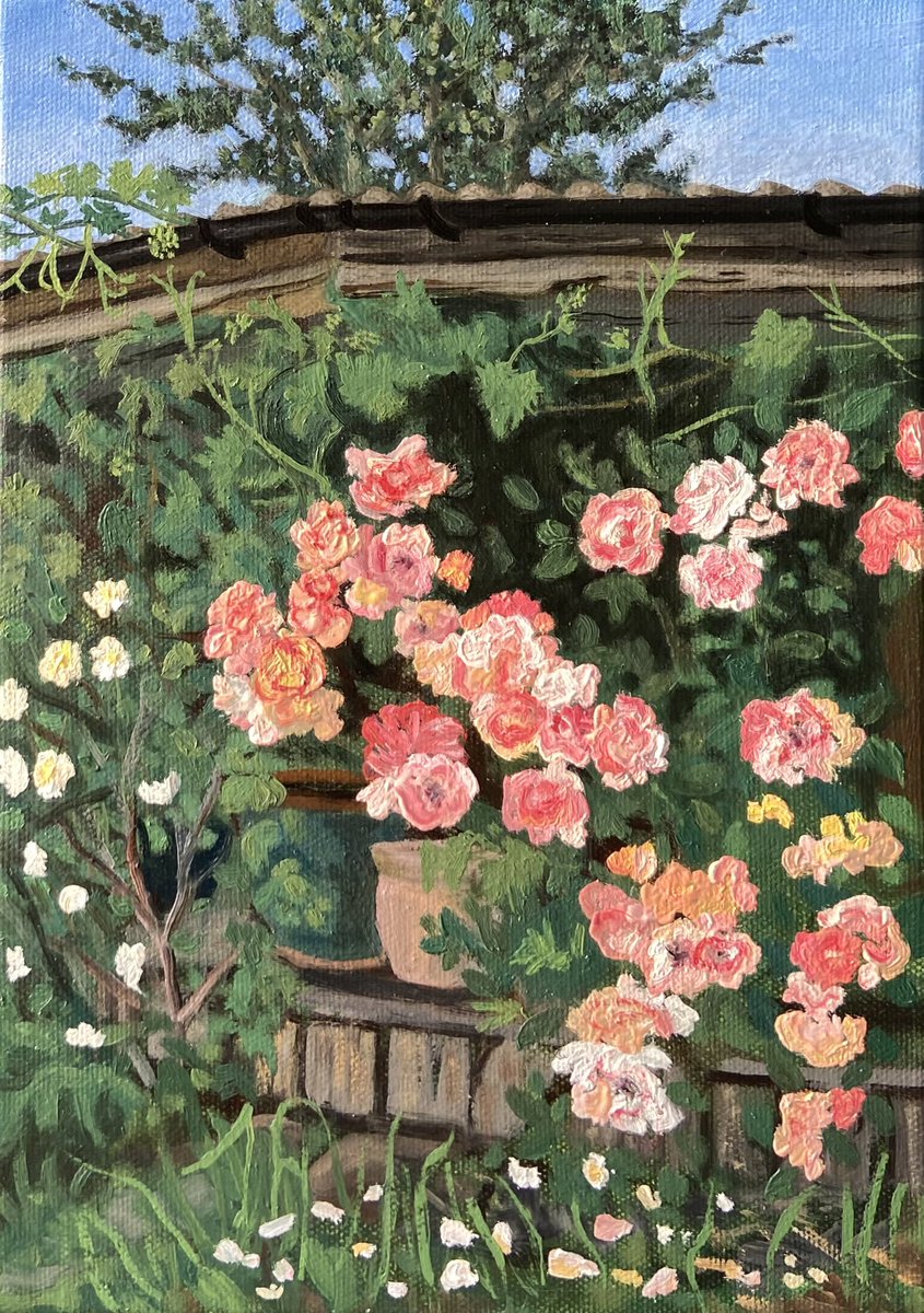My painting of the roses in front of our house. #oilpainting #englishroses
