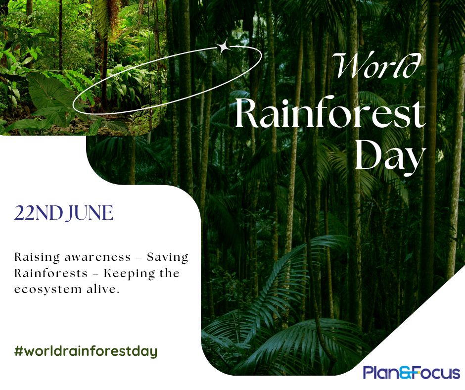 Rainforests produce a significant amount of the world's oxygen &amp; help mitigate climate change by absorbing carbon dioxide.

Let us strive to conserve rainforests. #worldrainforestday #planandfocus #conservation #climatechangeawareness #lungsofearth