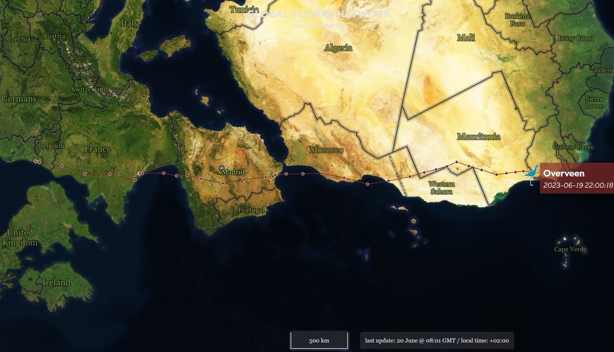 Global Flyway Network tweet media