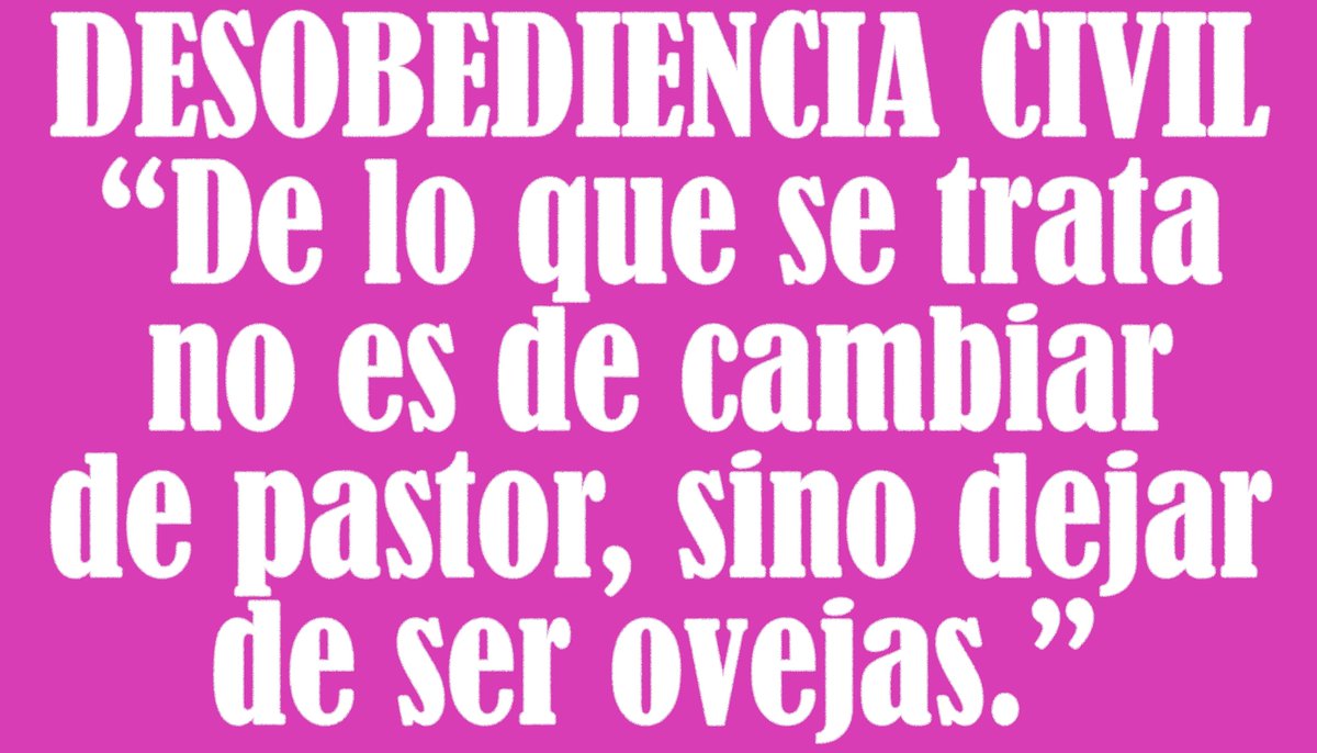 Jose Gonzalez (@josegon76210244) on Twitter photo 