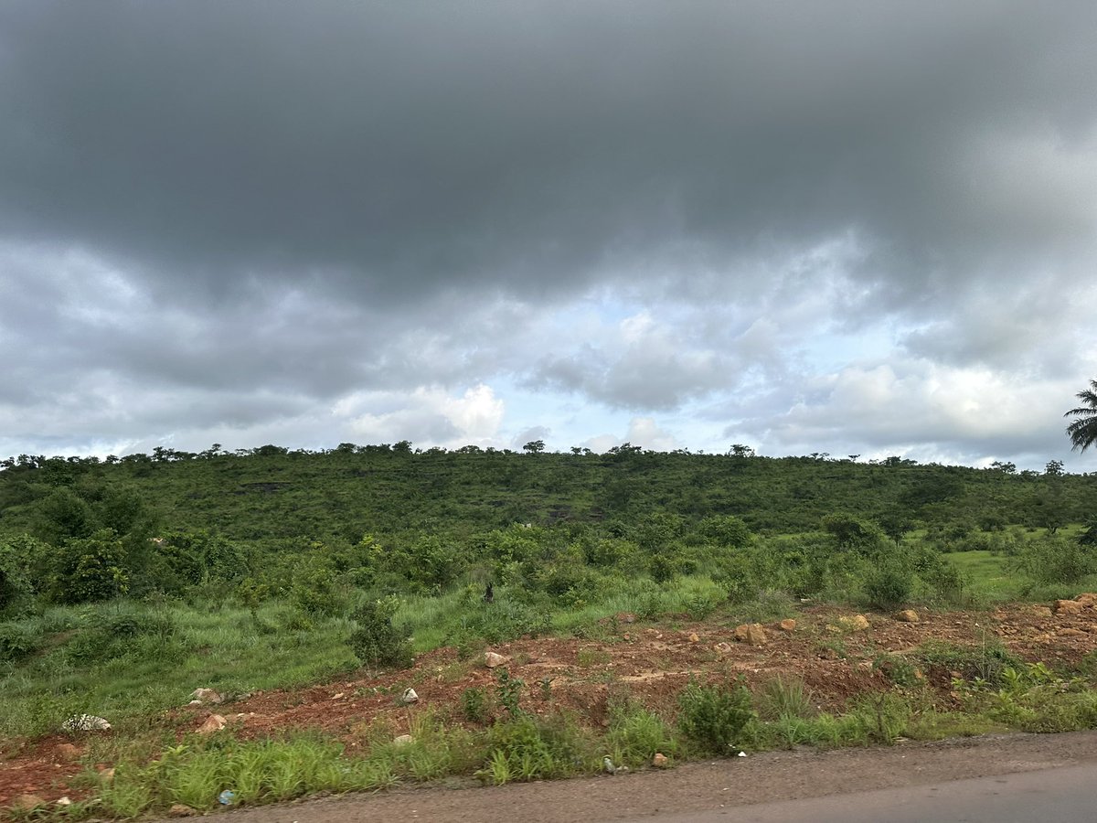 sow_aysha's tweet image. Bonne journée famille 
#fuuta ❤️❤️❤️