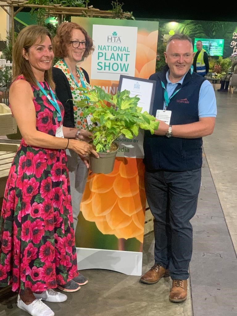 Great news! We’re delighted to announce we’ve scooped Best in Category in the Trees, Shrubs and Climbers category for Fatsia japonica Camouflage at the <a href="/HTAnews/">HTA News</a>  #NationalPlantShow today. Well done to all today’s winners! <a href="/GC_Association/">Garden Centre Association</a> <a href="/The_RHS/">The RHS</a>