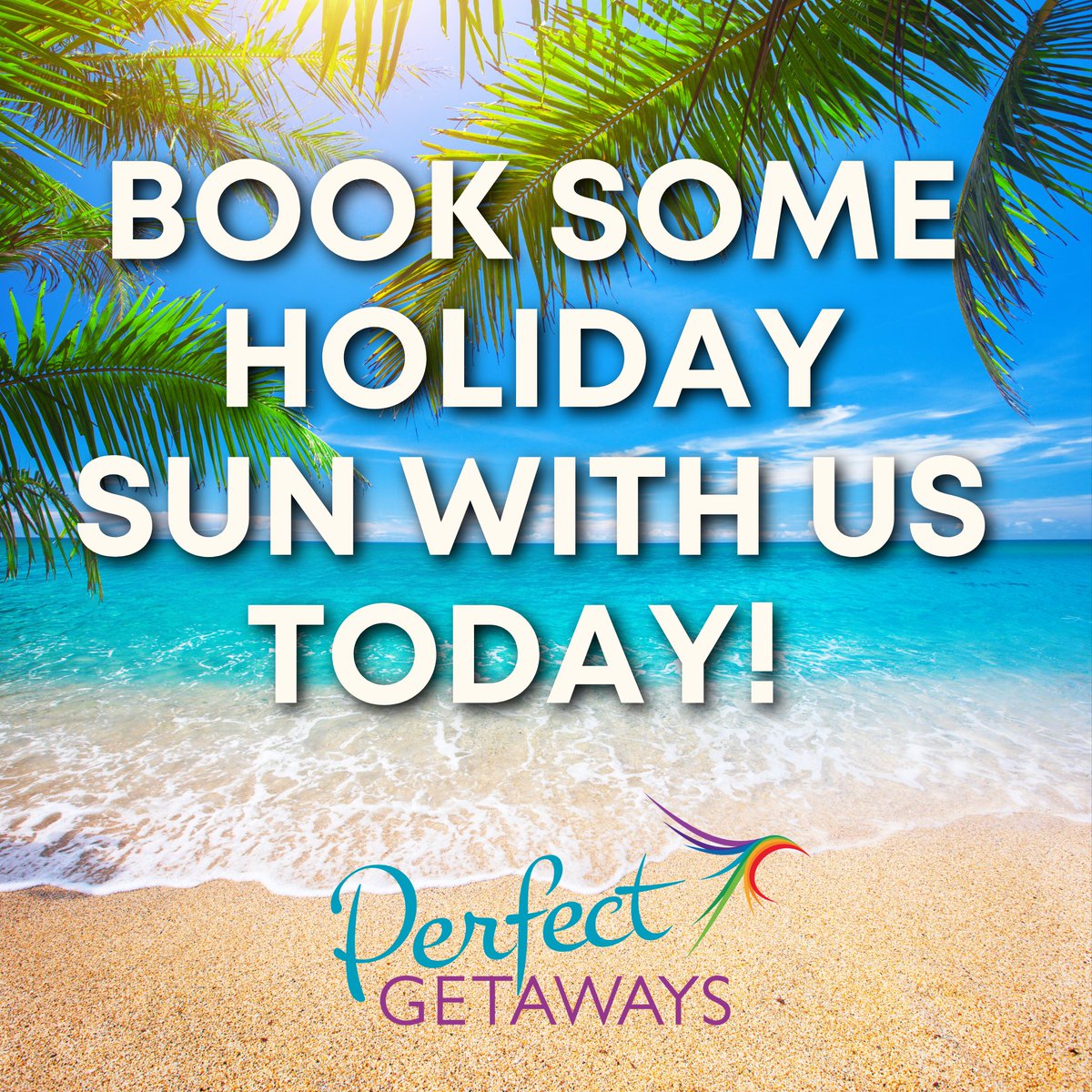 Perfect Getaways tweet media