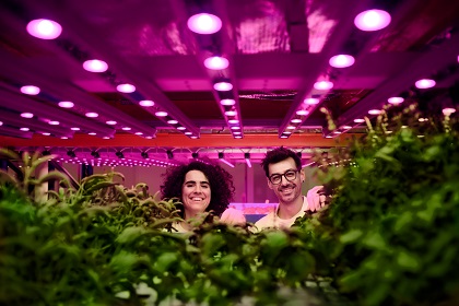 #verticalfarming | 🌱💦💡🌡️| “Implementing changes to the lighting in our vertical farm, we were able to increase the yield of our basil with around 40%.” Also want to increase the yield of your protected cultivation? Learn more 👉bit.ly/43PtdSU