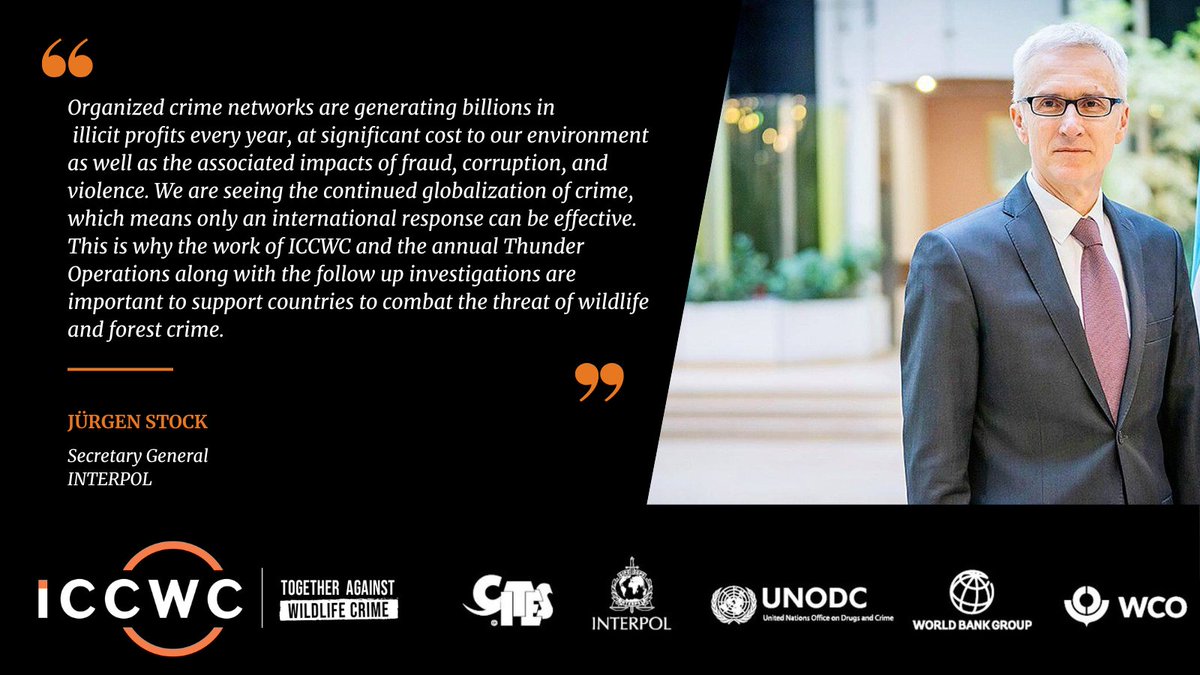 @INTERPOL_SG Jürgen Stock reflects on the importance of an international response to combat wildlife crime & @INTERPOL_EC role in #ICCWC to support countries through global operations.

💫Read more in our new biannual report: bit.ly/46fgQRJ

#TogetherAgainstWildlifeCrime