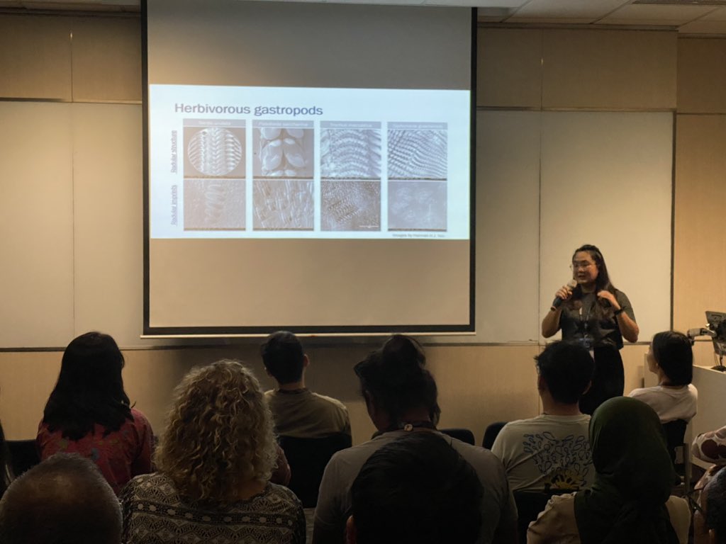 Matt Tietbohl, PhD (@whyoceansmatter) on Twitter photo Now <a href="/HannahHJYEO/">Hannah Yeo</a> at #APCRS2023 talking about grazing on sea walls in Singapore! There are diverse biotic communities growing here. Grazing mollusks can have large effects on algae & patterns of sea wall donation! Now <a href="/HannahHJYEO/">Hannah Yeo</a> at #APCRS2023 talking about grazing on sea walls in Singapore! There are diverse biotic communities growing here. Grazing mollusks can have large effects on algae & patterns of sea wall donation!