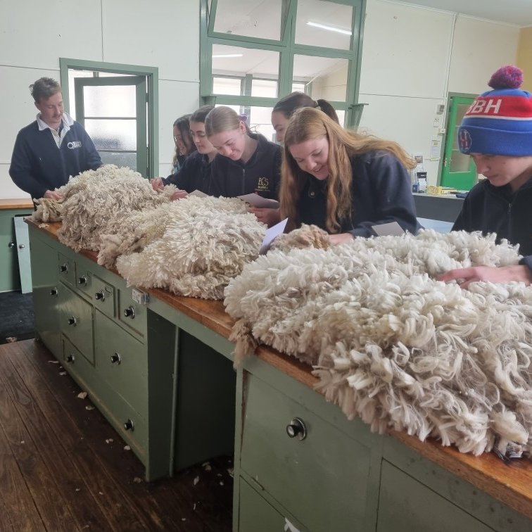 @QualityWool's Cody Jones presenting a #wool judging workshop today with Burra Community School's Year 9/10 Ag students. #YouthInAg