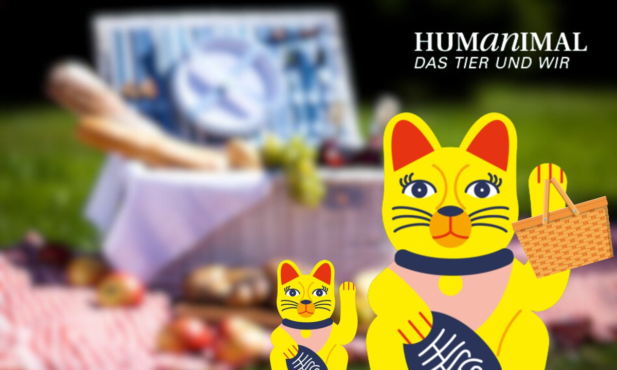 mfk_frankfurt's tweet photo. Am Sonntag 25.06. ist Humanimal Aktionstag! Kommt vorbei und erlebt ein buntes Programm mit Infoständen&amp; Mitmachstationen. Vorab kann ein Picknickkorb bestellt werden &amp; wer sich eine eigene Picknickdecke mitnimmt, kann sich einen 🍪 p.P im Café abholen!🐾
https://t.co/3lzDpO93dZ https://t.co/XfQm77mEJU