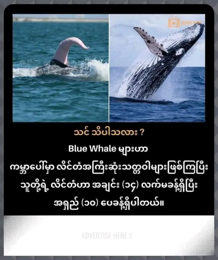 Nam tweet media