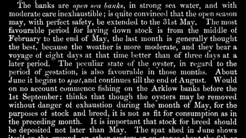 One common word you come across reading historical accounts and records of the oyster fisheries in Ireland/UK is 'inexhaustible'. We know how things turned out. On the now extinct natural beds off Arklow, the 'Oyster Fishery: The Laws which Regulate it in Ireland' (1864) says: