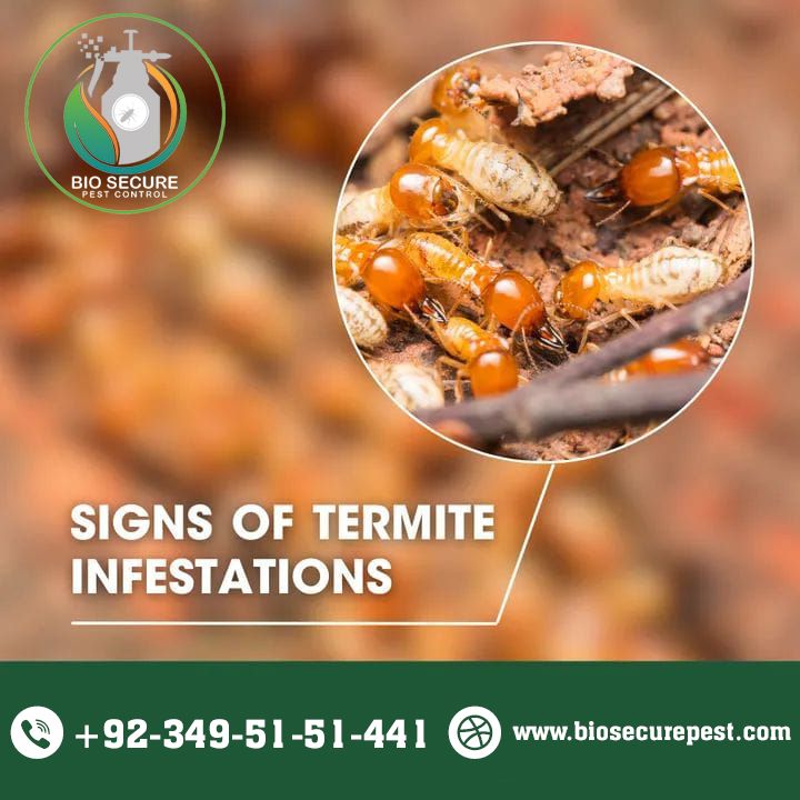 BiosecureP's tweet photo. It is a strong possibility that these notorious wood-eating insects have taken up residence in your home or place of business if you observe one of these symptoms.
Book a FREE INSPECTION: https://t.co/ZQFcAbng1I
Or Whatsapp us at: 0349 5151441
#termite #pestcontrol https://t.co/uGBEP31rxW