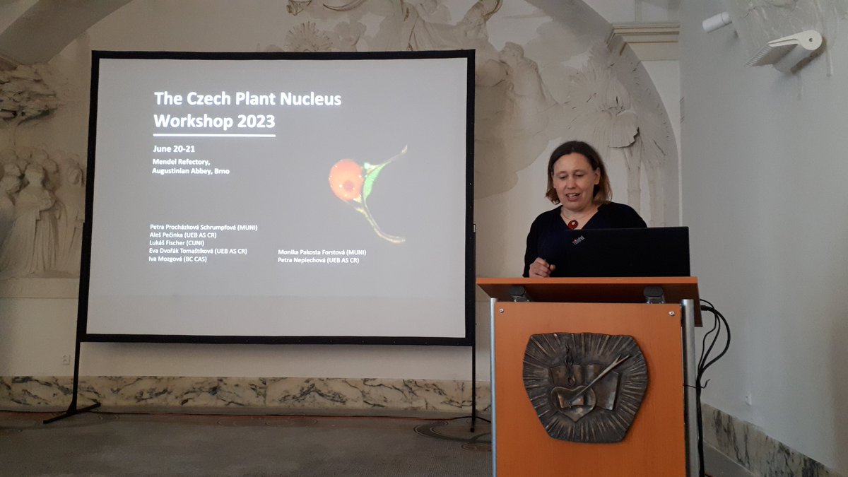 The Czech Plant Nucleus Workshop started in the Augustinian abbey where G.J. Mendel discovered the laws of genetics. Introduction by the main organizer Petra Prochazkova Schrumpfova from <a href="/CEITEC_Brno/">CEITEC</a> <a href="/MasarykUni/">Masaryk University</a>  #Chromosomes #Epigenetics #Plants #breeding