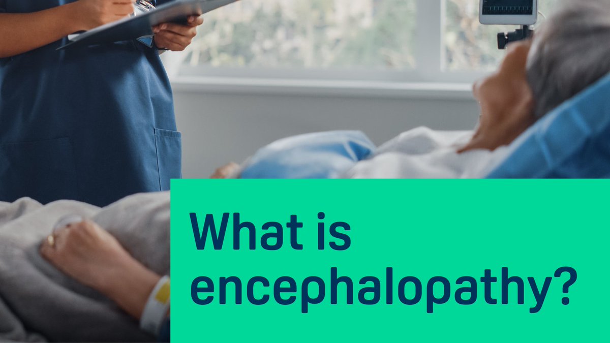 Medical Research Foundation tweet media