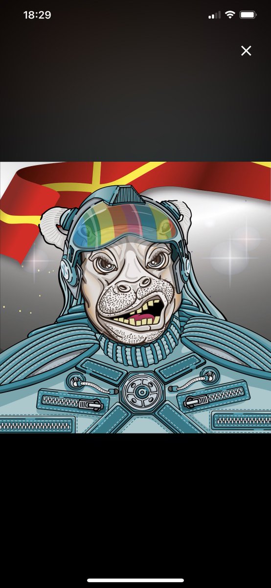 Hell Cat tweet media