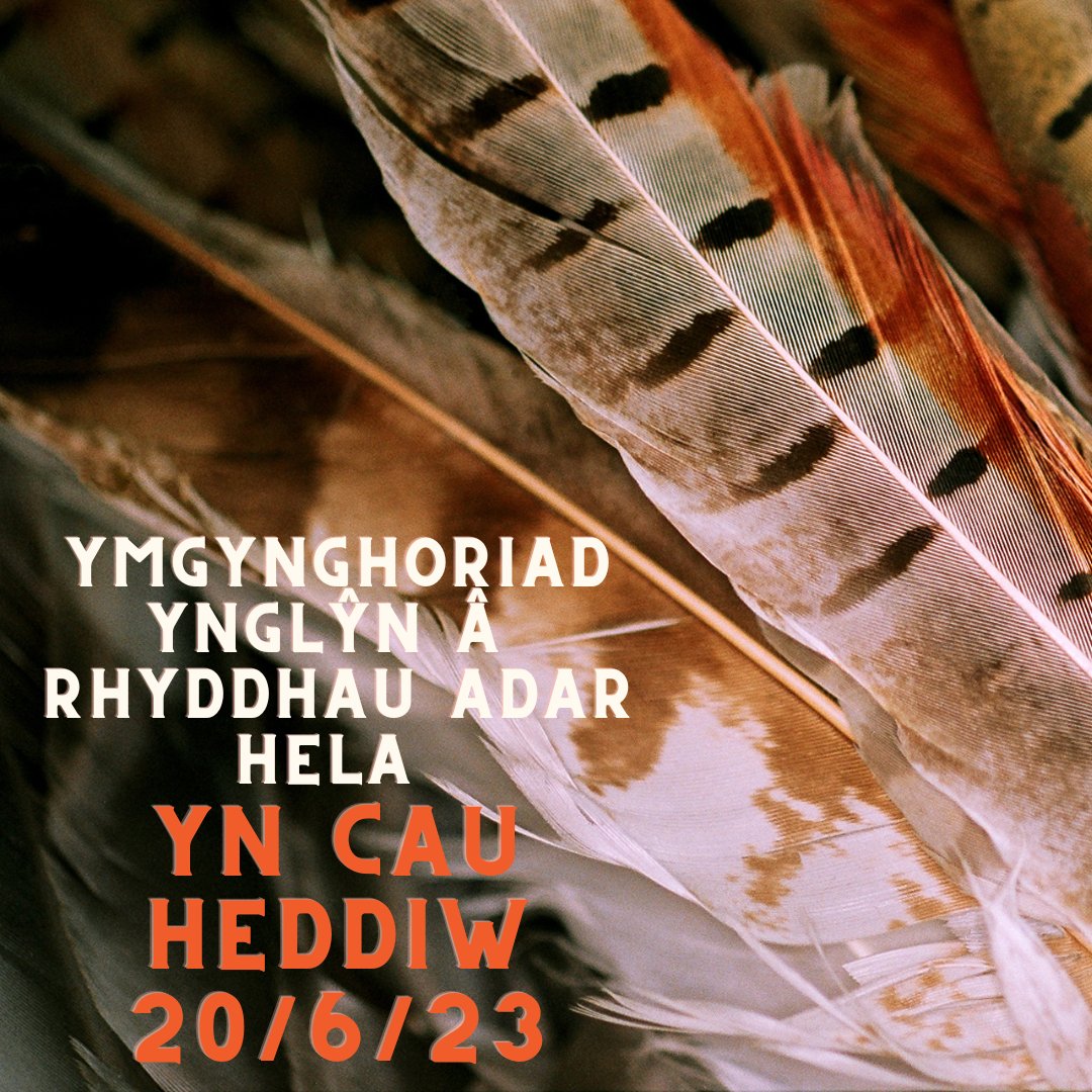 GWCT Cymru | Wales (@gwctwales) on Twitter photo ⚠️YMGYNGHORIAD YN CAU HEDDIW
✍️YMATEBWCH NAWR ➡️ tinyurl.com/bxckbzt2
🧑🤝🧑Mae'n bwysig eu bod yn derbyn cymaint â phosib o ymatebion i ymgynghoriad CNC ynglŷn â rhyddhau adar hela yng Nghymru
@gwct_events <a href="/Gameandwildlife/">The Game & Wildlife Conservation Trust</a> <a href="/NatResWales/">Cyfoeth Naturiol Cymru | Natural Resources Wales</a> ⚠️YMGYNGHORIAD YN CAU HEDDIW
✍️YMATEBWCH NAWR ➡️ tinyurl.com/bxckbzt2
🧑🤝🧑Mae'n bwysig eu bod yn derbyn cymaint â phosib o ymatebion i ymgynghoriad CNC ynglŷn â rhyddhau adar hela yng Nghymru
@gwct_events <a href="/Gameandwildlife/">The Game & Wildlife Conservation Trust</a> <a href="/NatResWales/">Cyfoeth Naturiol Cymru | Natural Resources Wales</a>