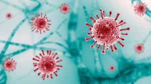 #news: COVID-19 update: Active cases decrease to 2,831 in India
Visit: …tious-diseases-conferences.pencis.com
More Inf: infectious2021.blogspot.com

#covid19 #covid_19 #covid #lawancovid19 #covid2019 #stopcovid19 #covid2020 #covid19italia #fightcovid19 #pelajarindonesiacegahcovid19 #fuckcovid19
