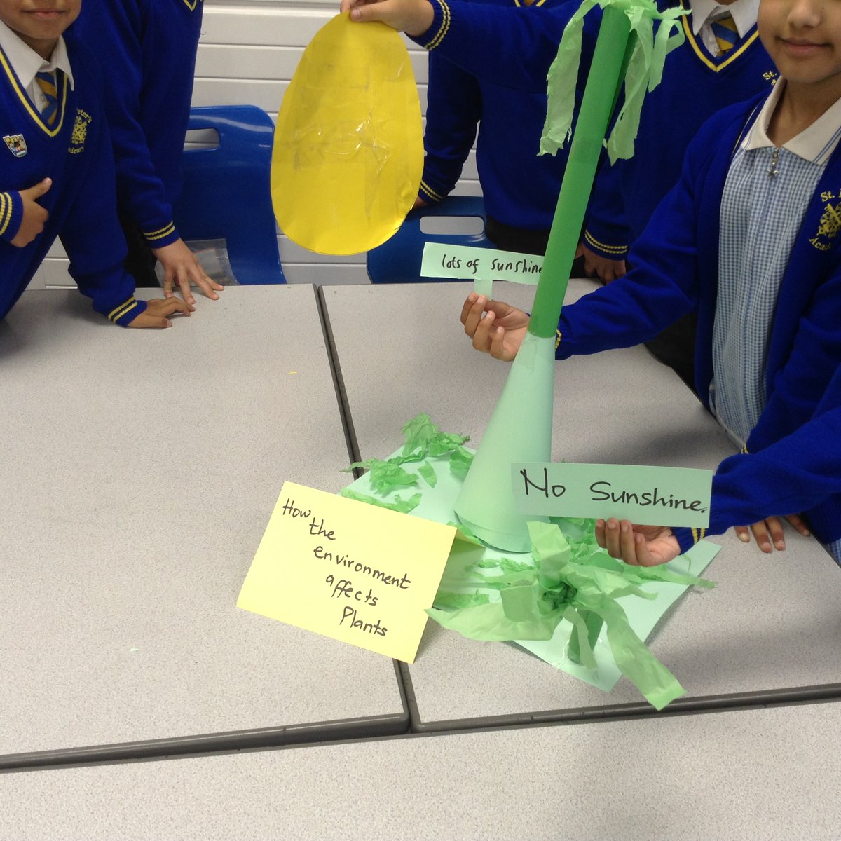 St Peter’s Academy tweet media