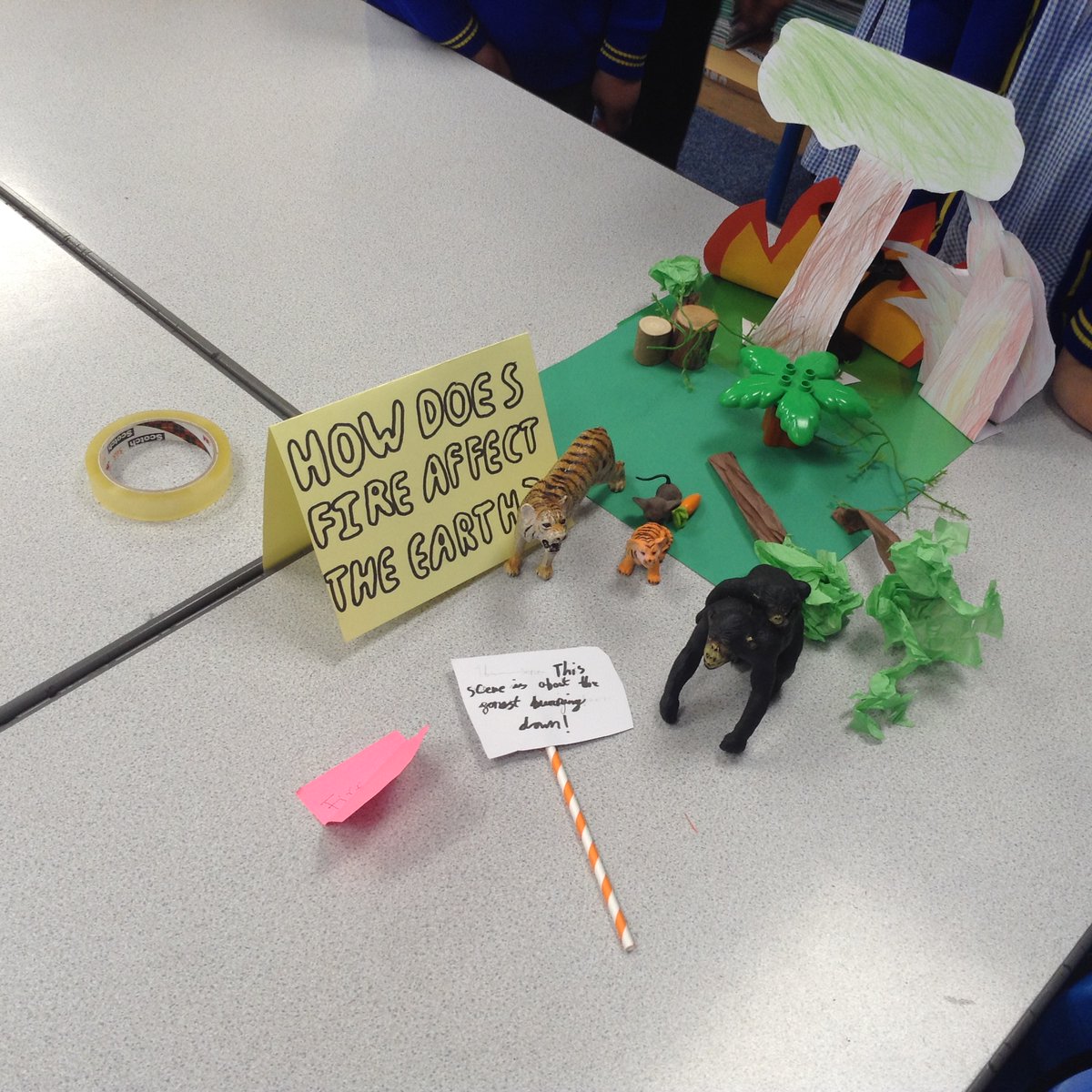 St Peter’s Academy tweet media