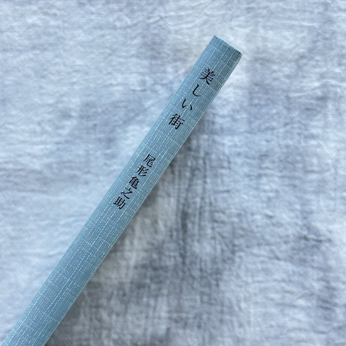 tookumemo's tweet photo. 戦前の詩人、尾形亀之助の選詩集。ネットで検索しても尾形亀之助についてさほど多くの情報が出てきません。だから、目の前に現れたひとつひとつを噛み締めるように読み進め自分のものとしてゆく。

美しい街 / 尾形亀之助著 / 松本竣介画 / 夏葉社 | トオク https://t.co/eaCN0nzpK6 #夏葉社 https://t.co/HB63pz4j0k