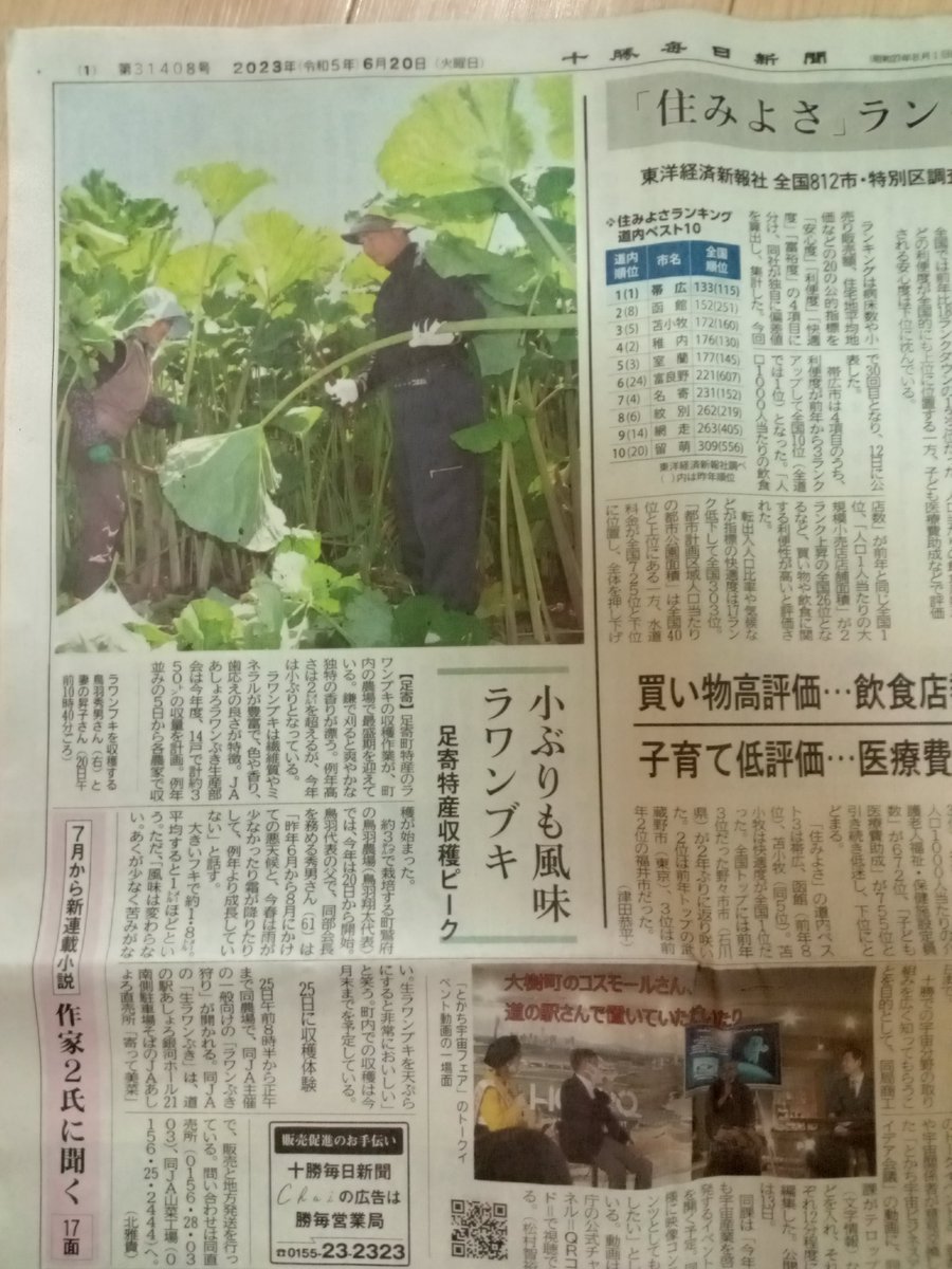 食べた事無いです