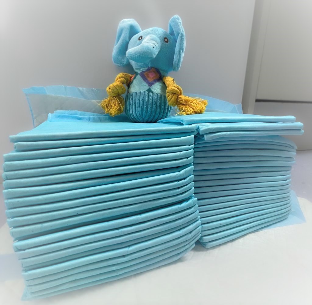 DT_Newbury's tweet image. Uh oh 😲🐶 We're running out of puppy pads! If you can, we'd love for some more from our Amazon Wishlist 💕 rb.gy/crjk9 🤗 #puppylove #puppypads #AmazonWishlist