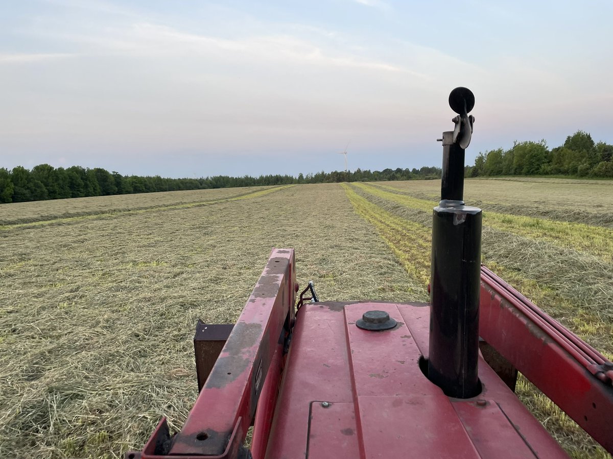 Thankful to be able to start my day this way #hay23 #ontag