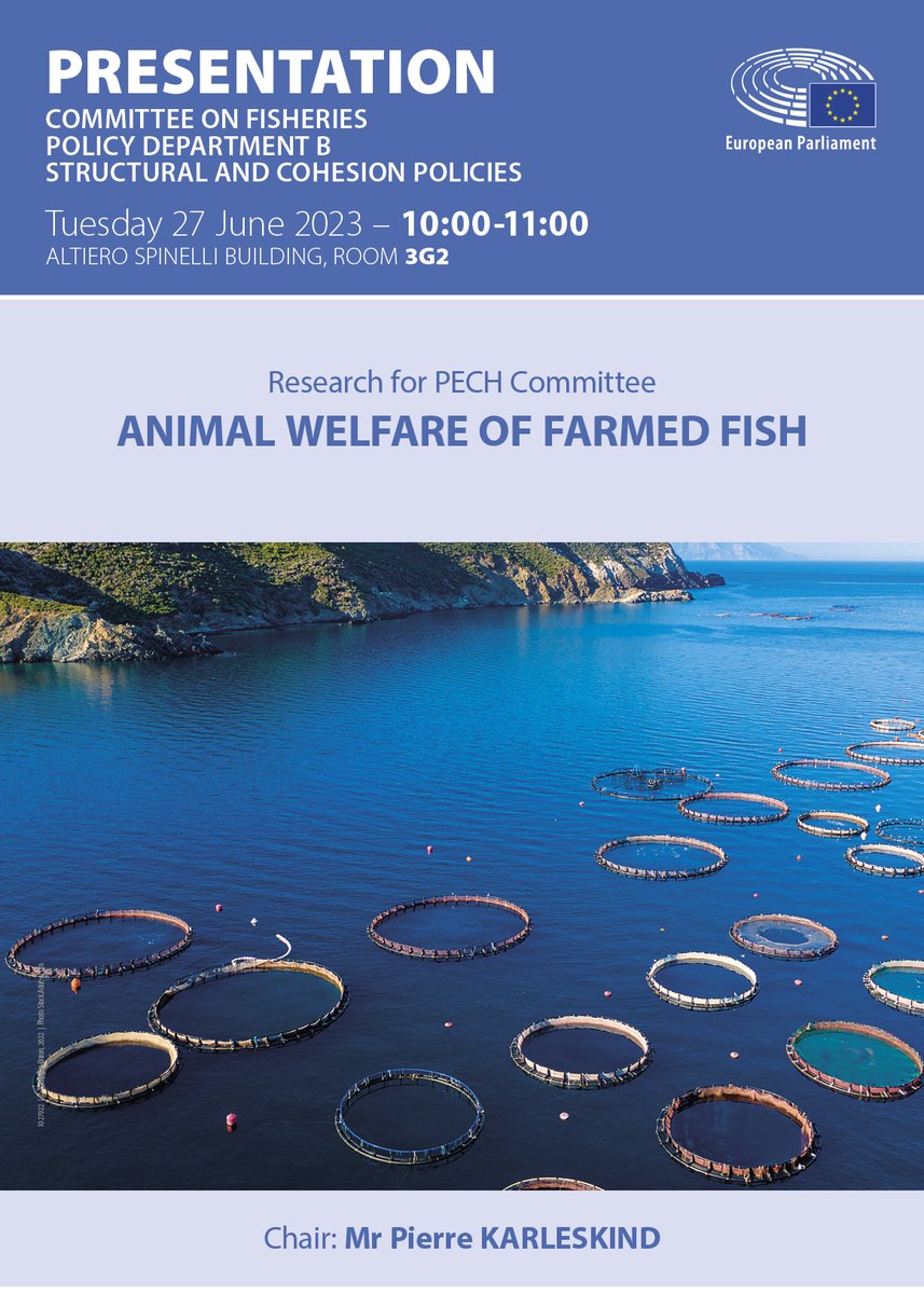 PolicyPECH's tweet photo. 📢 New date to your🗓️! 
On 27 June at 10am we organise a presentation of our study on #AnimalWelfare of farmed fish
Subscribe to be notified: https://t.co/RJ1LSxB6sS
@EP_Fisheries
#Research4Committees #FishWelfare #FishFarming #EUFishFarming #Aquaculture #EUAquaculture https://t.co/ESaMuMEQKg