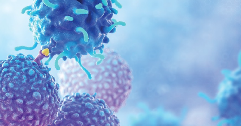 NatureCustom's tweet photo. 'Deep human biology learning' aims to discover the next big thing in oncology #AdFeature with @EisaiUS
