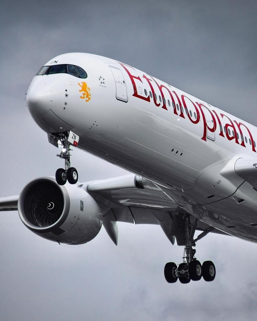 IATA's tweet photo. #Ethiopia 🇪🇹 is recovering💪🏾from the #Covid19 crisis:

➡️Connectivity 113% over pre-crisis 
➡️Passenger demand 19% above 

But the $95MN in blocked airline funds in #Ethiopia  &amp; the $180MN in funds blocked to @flyethiopian challenges this global hub. ➡️https://t.co/DcM1Zlujbt https://t.co/gPRVNiKgWY