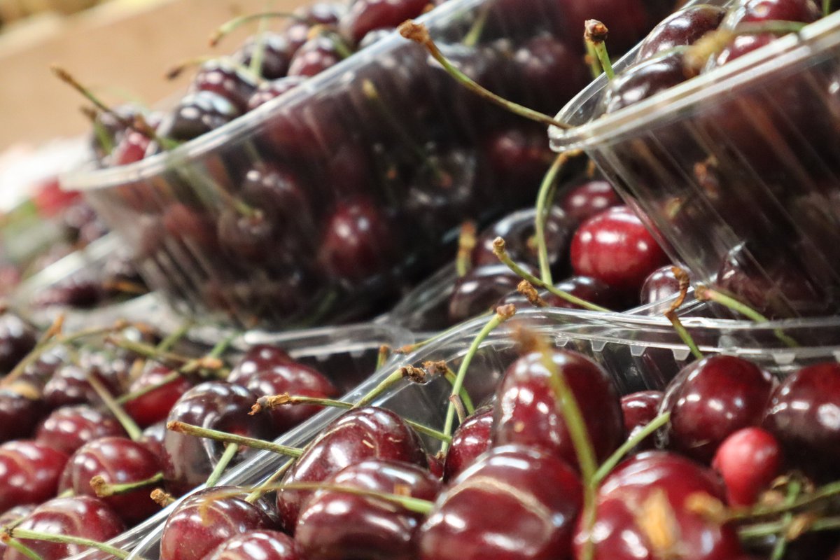 MercadoLagunero's tweet image. 🍒🌞Llega el calor y con él la temporada de picotas. Un tentempié ideal para refrescarse entre horas o acompañar un día de playa. 

¿Y tú? ¿Qué fruta del Mercado te llevarías a la playa?

#mercadodelalaguna #consumelocal #picotas #verano