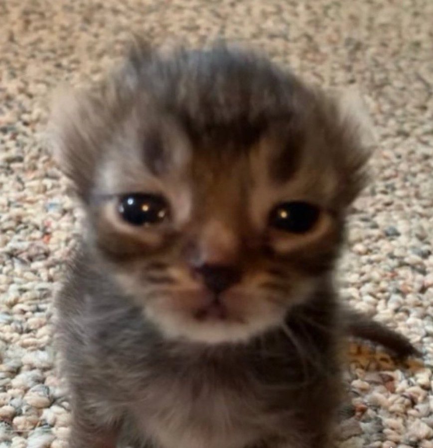 ZeroDeaths tweet media