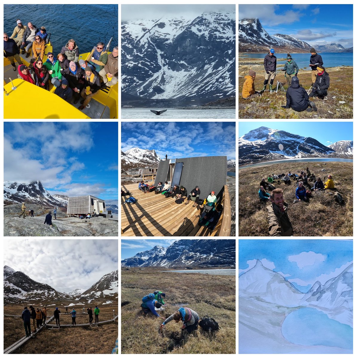 Greenland Ecosystem Monitoring tweet media
