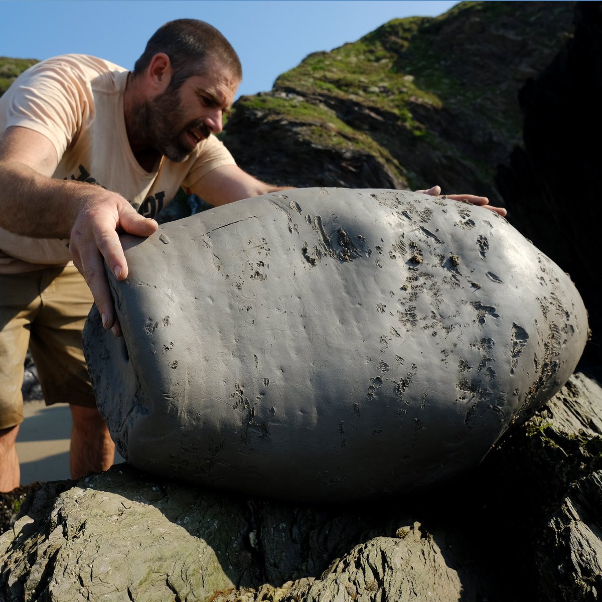 MA Fine Art tweet media