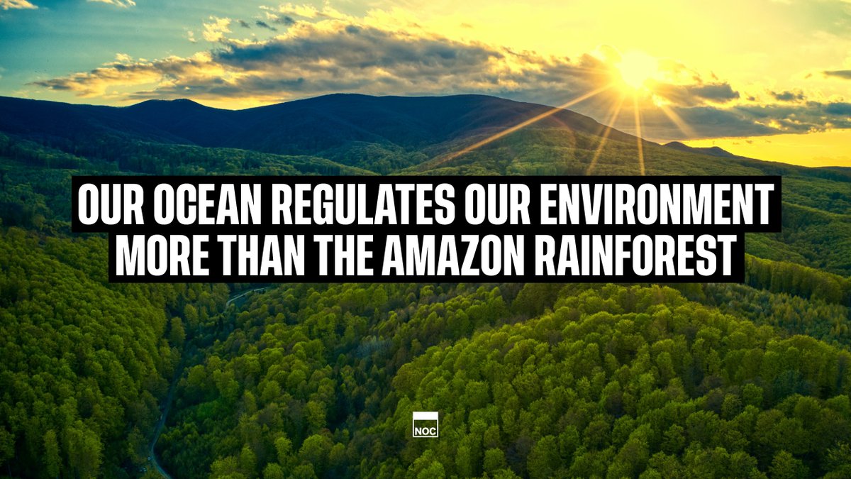 NOCnews's tweet photo. Our ocean regulates our environment more than the Amazon rainforest. 🌳

But this delicate environment is under threat.

Help by supporting work that shifts the way we value, understand and manage it 💪 https://t.co/ObXiLKu2zt

#OneOcean #ProtectOurOcean #OceanAction https://t.co/uzYr1UvXoV