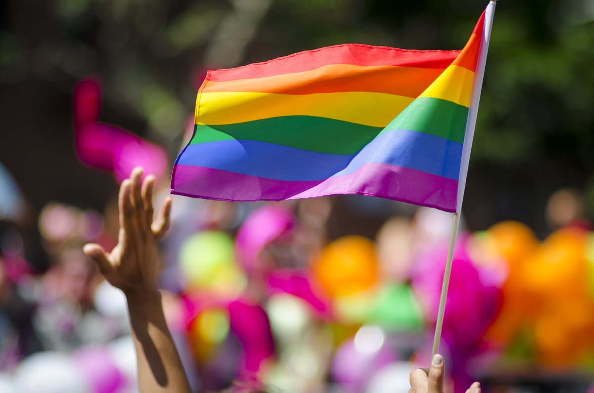 🌈 Did you know? The rainbow flag, a symbol of LGBTQ+ pride, was designed by artist Gilbert Baker in 1978. Each colour represents a different aspect of the community. It has become an iconic symbol of love, acceptance, and solidarity. #PrideFacts #RainbowFlag
