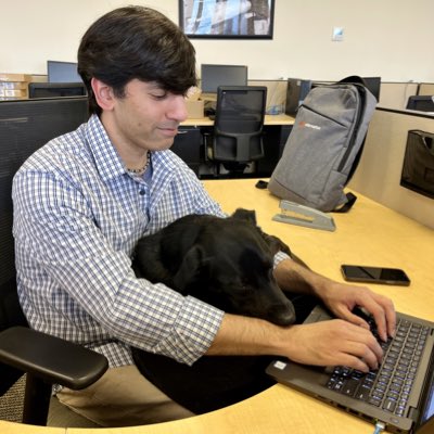 #NewProfilePic A reporter is nothing without their trusty copy-editor. #officedogs #Worcester #dogs