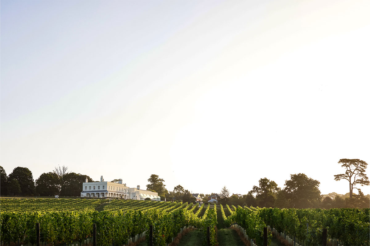British Travel Journal (@btraveljournal) on Twitter photo We discover some of the UK’s most beautiful #vineyards, where you can explore the vines, sample delicious wines, and spend a night or two! 🍇🏡
<a href="/Lympstone_Manor/">Lympstone Manor</a> <a href="/TinwoodWines/">Tinwood Estate Wines</a> <a href="/oxneyestate/">Oxney Organic Estate</a> <a href="/3choirsnewent/">Three Choirs Newent</a> <a href="/denbiesvineyard/">Denbies Wine Estate</a> <a href="/RathfinnyEstate/">Rathfinny Estate</a> <a href="/JabajakVineyard/">Jabajak Vineyard</a>
britishtraveljournal.com/sip-and-stay-v… We discover some of the UK’s most beautiful #vineyards, where you can explore the vines, sample delicious wines, and spend a night or two! 🍇🏡
<a href="/Lympstone_Manor/">Lympstone Manor</a> <a href="/TinwoodWines/">Tinwood Estate Wines</a> <a href="/oxneyestate/">Oxney Organic Estate</a> <a href="/3choirsnewent/">Three Choirs Newent</a> <a href="/denbiesvineyard/">Denbies Wine Estate</a> <a href="/RathfinnyEstate/">Rathfinny Estate</a> <a href="/JabajakVineyard/">Jabajak Vineyard</a>
britishtraveljournal.com/sip-and-stay-v…