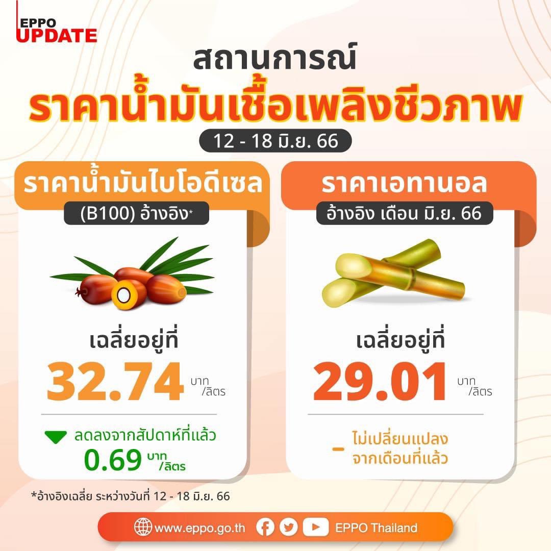 EPPO UPDATE : สถานการณ์ราคาน้ำมันเชื้อเพลิงชีวภาพ 12 - 18 มิ.ย. 66 > Read more facebook.com/10006455905753…