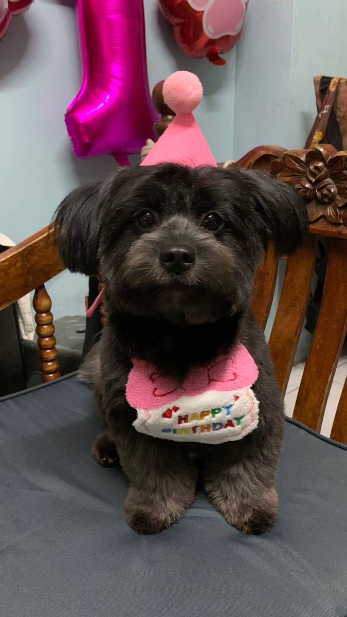 webby || comms open tweet media