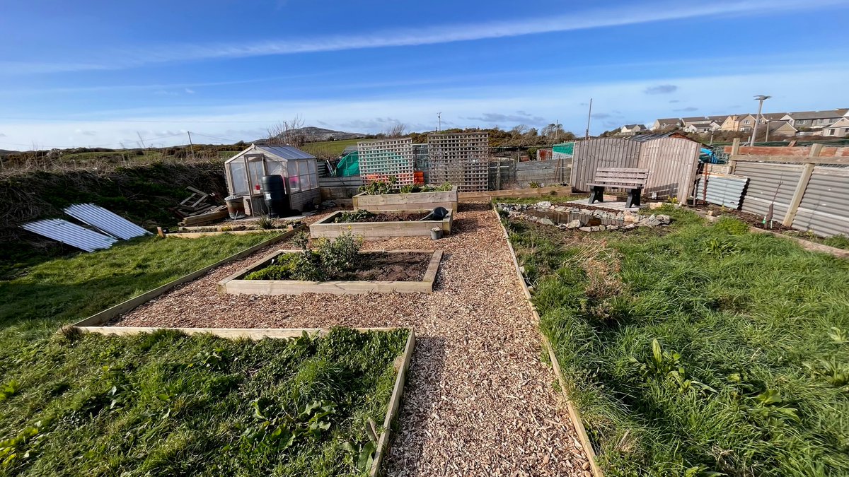 Holyheads Local Conversation tweet media