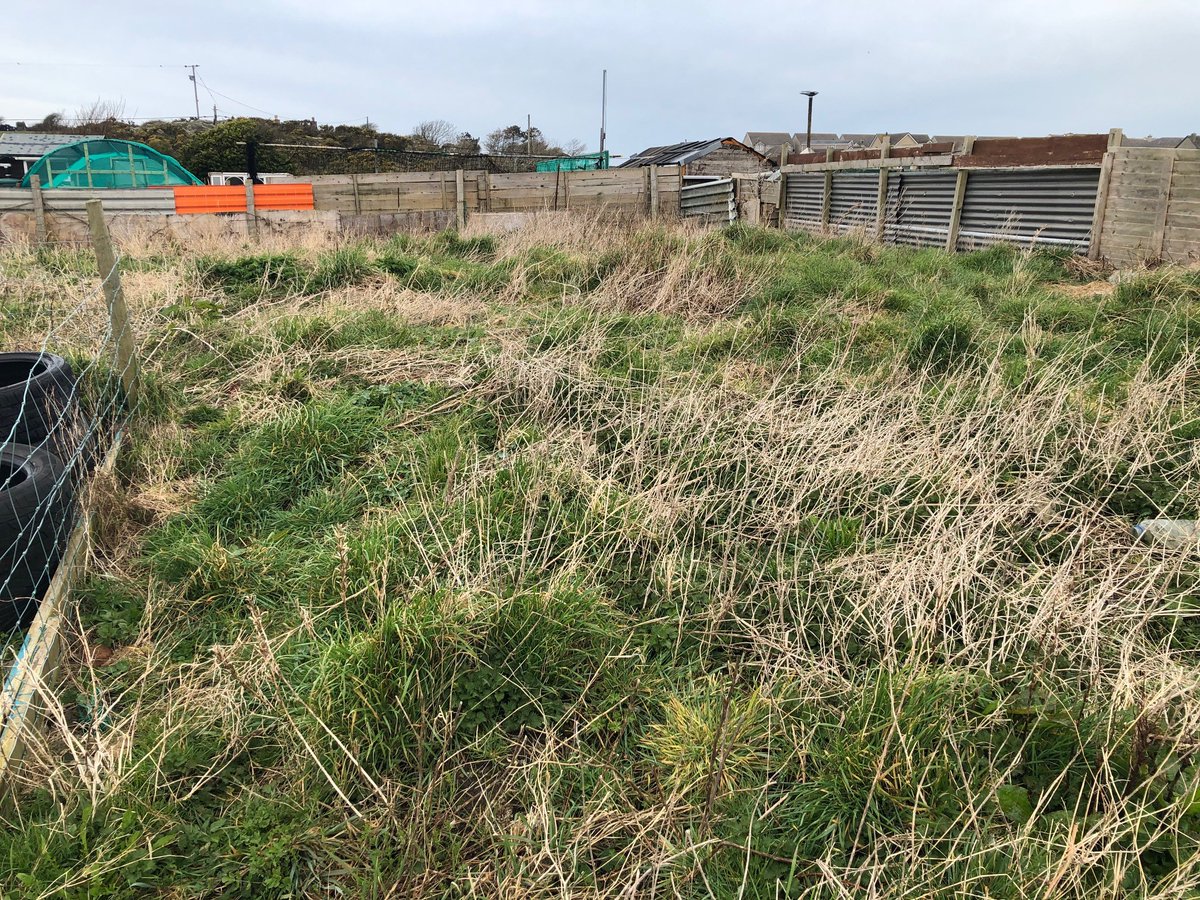 You wouldn't think these two pictures are the same place. The community allotment project is open to anyone wanting to get outdoors and meet new people. If you're free why not join us? Thursday's 10am - 3pm at the Plas Road Allotments, we're plot number 33.

#Holyhead #Wellbeing