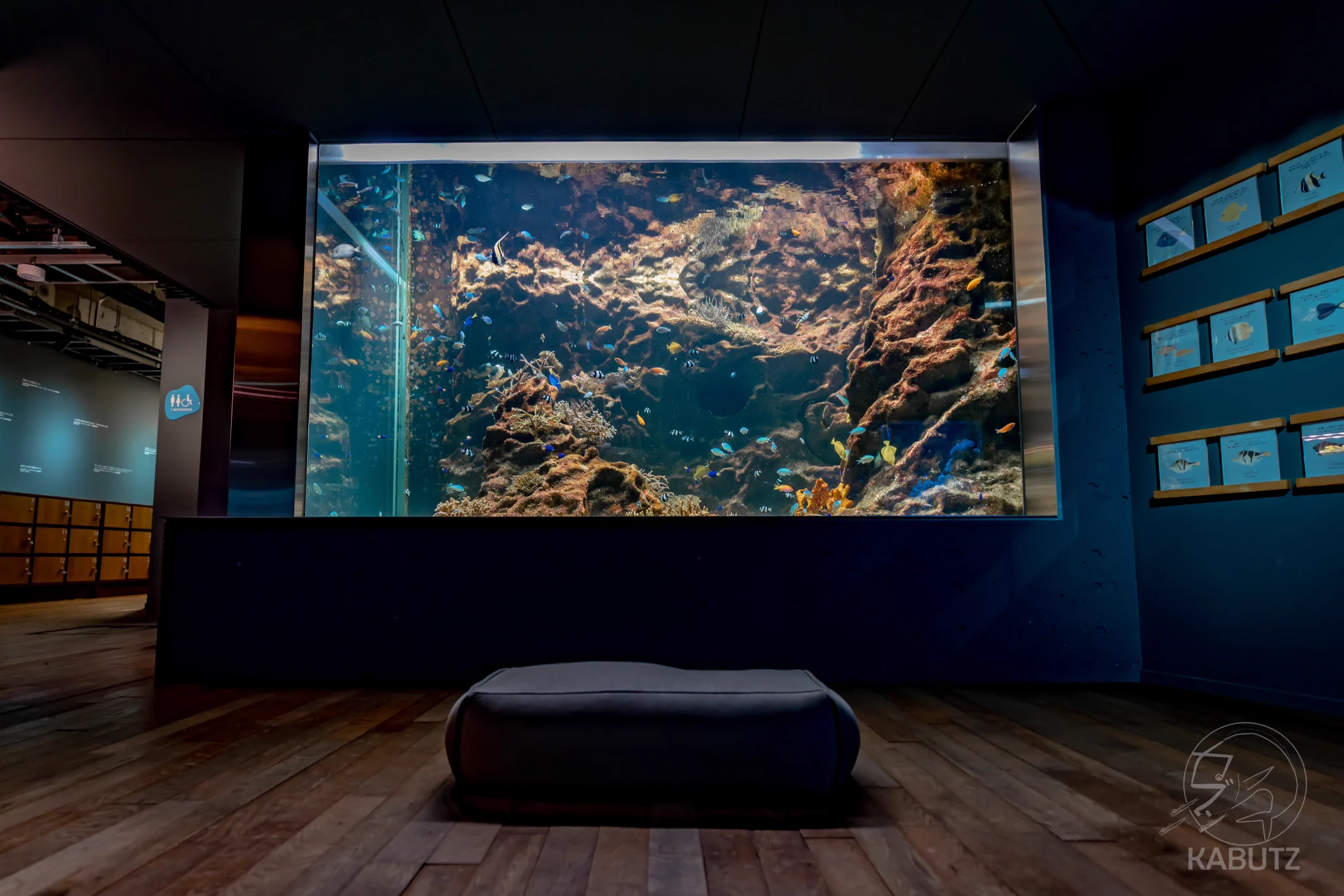 校舎の雰囲気はそのままに。廃校を再利用した水族館「みなとやま水族館」。