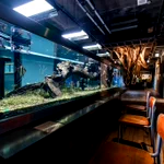 校舎の雰囲気はそのままに。廃校を再利用した水族館「みなとやま水族館」。