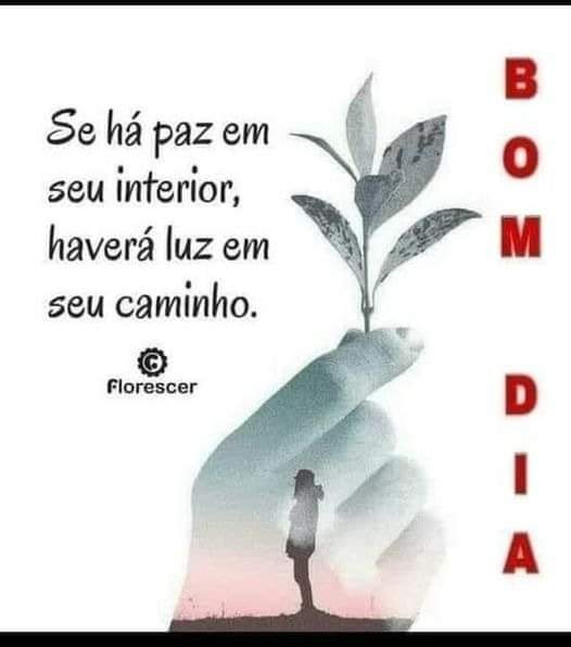 Paulo Sergio Arruda (@paulosergioarr1) on Twitter photo 