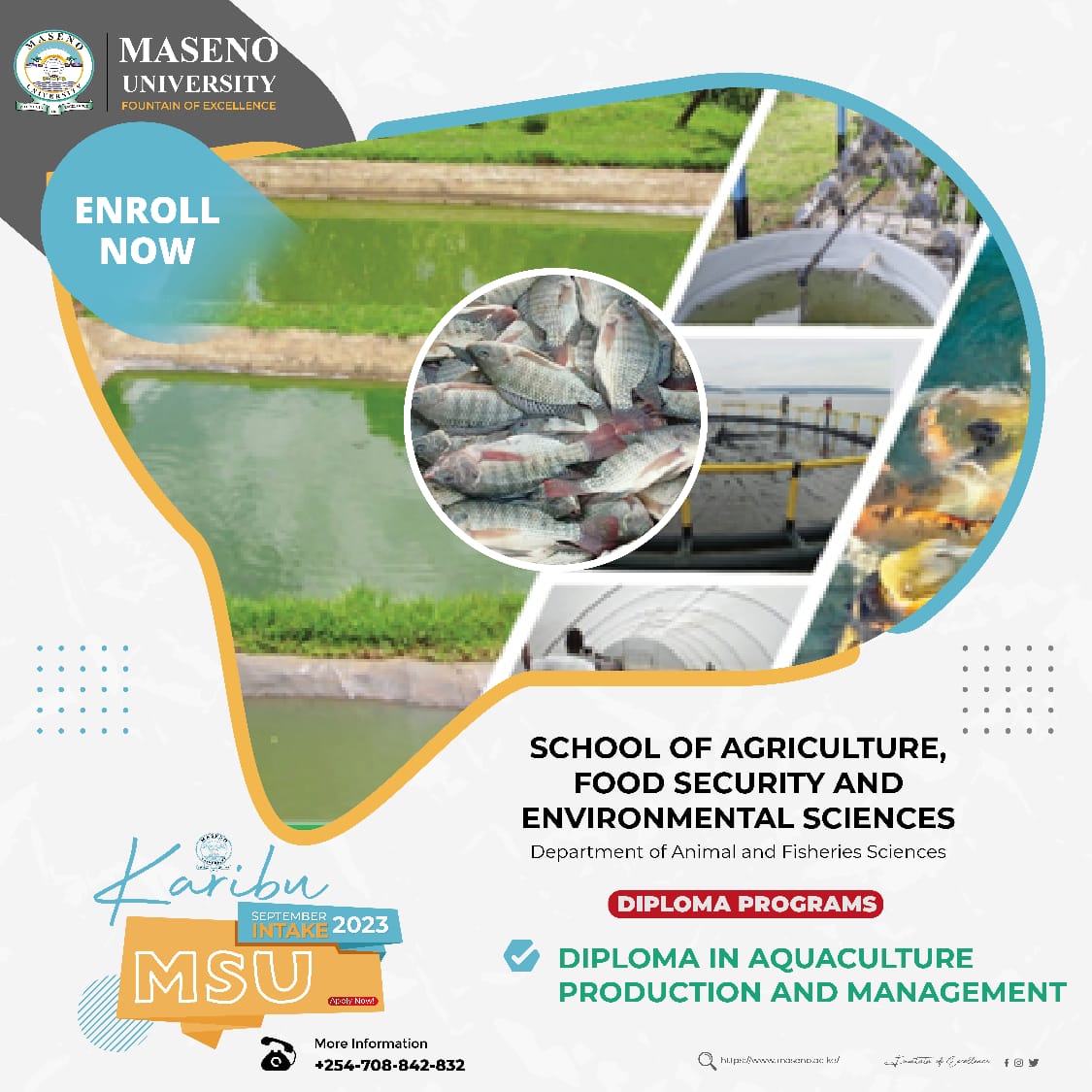 School of Agriculture Food Security and Environmental Science Department of Animal and Fisheries Sciences DIPLOMA IN AQUACULTURE PRODUCTION AND MANAGEMENT maseno.ac.ke/application-fo… safs.maseno.ac.ke/home-5 maseno.ac.ke