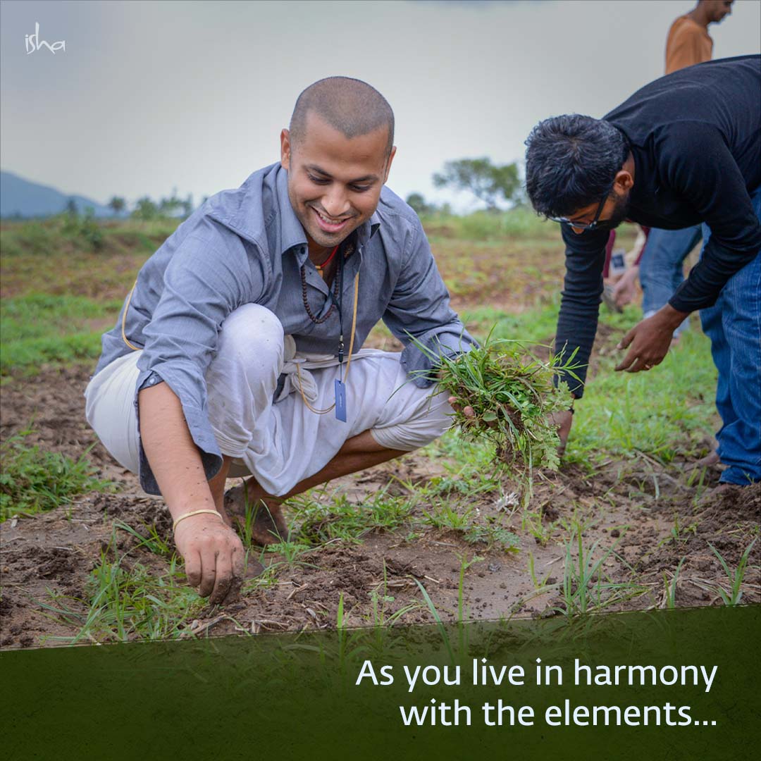 ishafoundation's tweet photo. As a Poornanga, one can work alongside spiritual seekers committed to realizing Sadhguru’s vision of offering at least one drop of spirituality to the whole world and simultaneously intensify their sadhana to set their spiritual journey on fast-forward.

Know more: https://t.co/a0GXiLL05X
