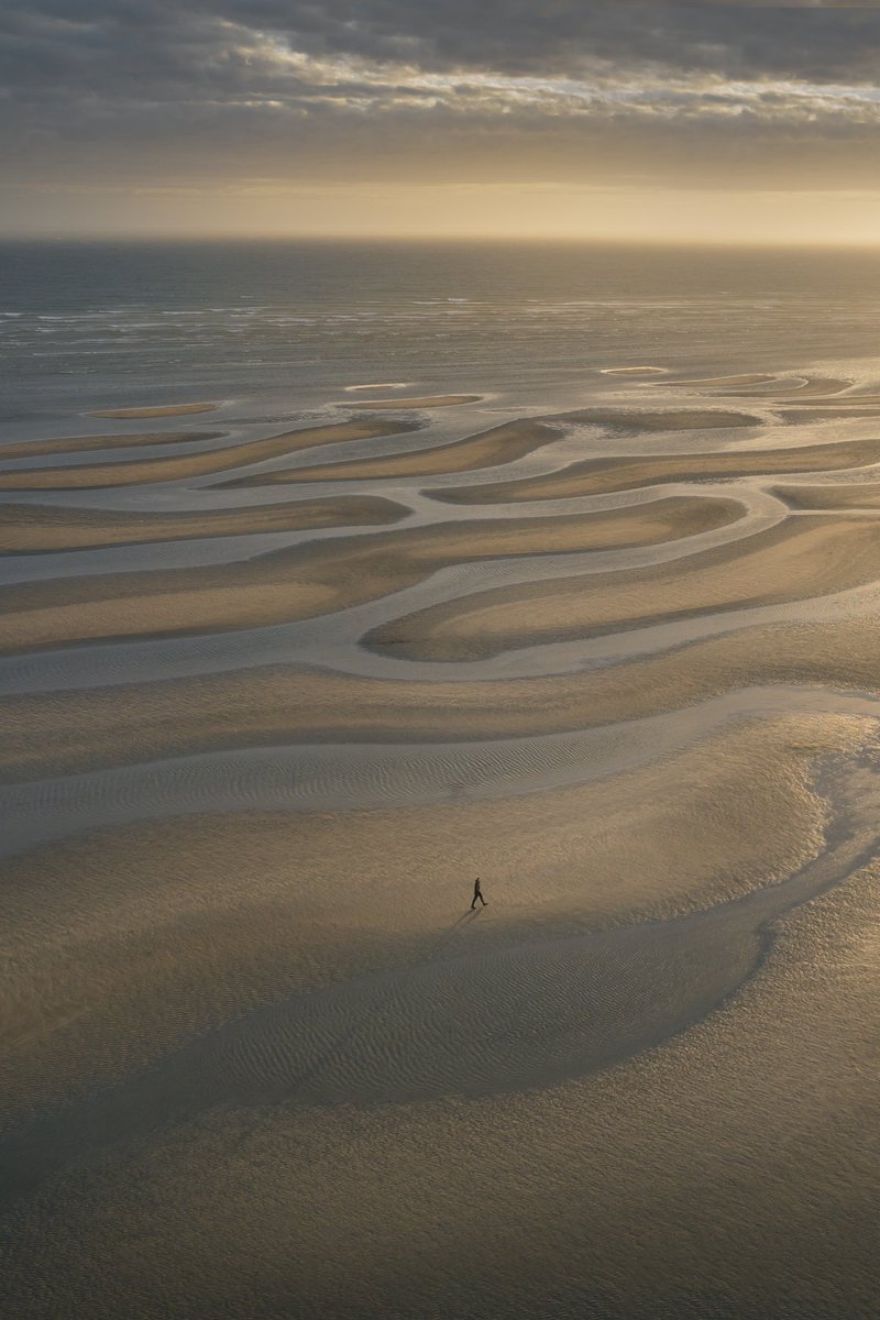 OscarSloane tweet media