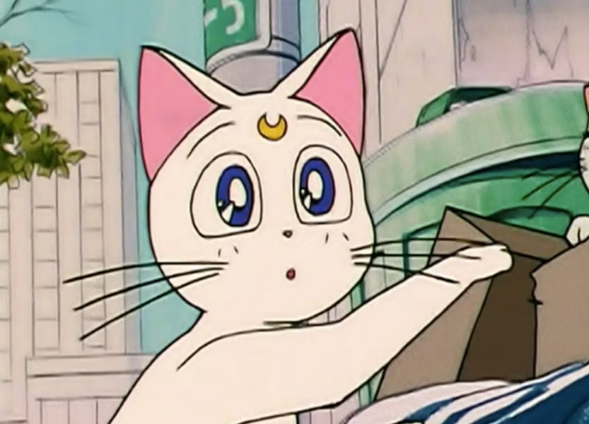 90s anime cats